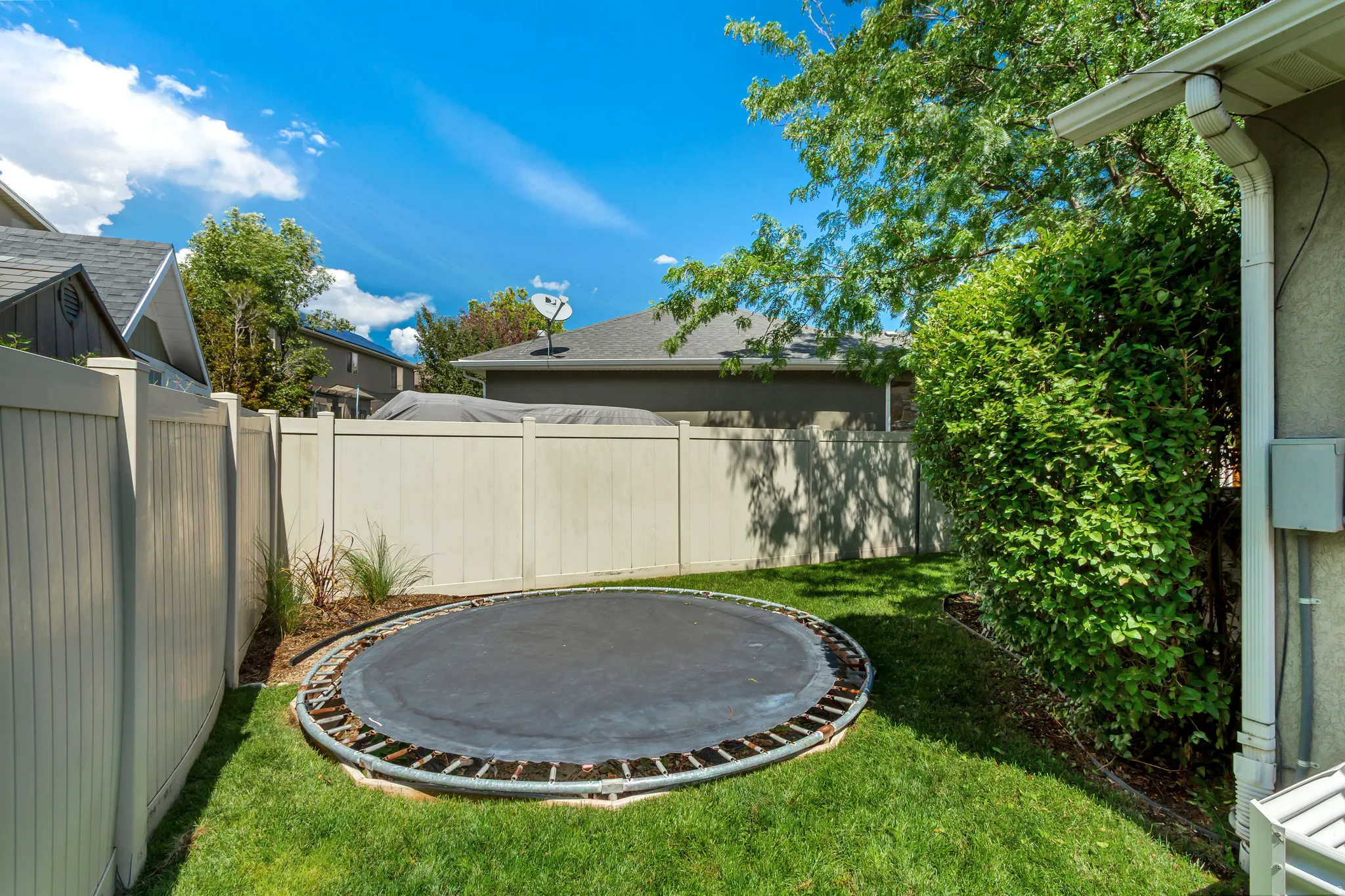 Expansive backyard featuring a manicured lawn, established privacy hedges, and a tan perimeter fence