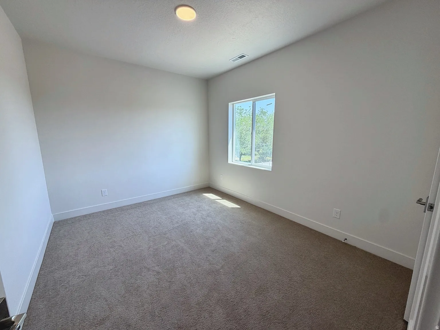 Recessed ceiling light, neutral wall paint, carpet flooring, and a single window with exterior greenery