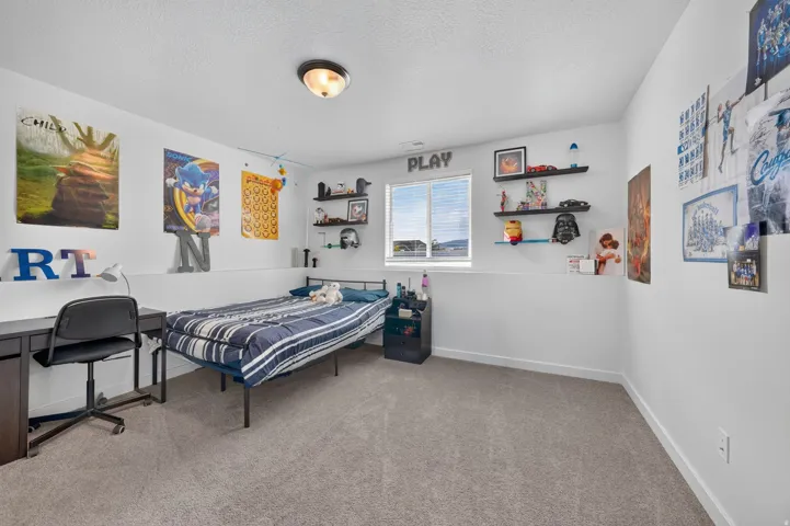 Carpeted room featuring a single window with blinds, a built-in wall shelf system, and a ceiling-mounted light fixture