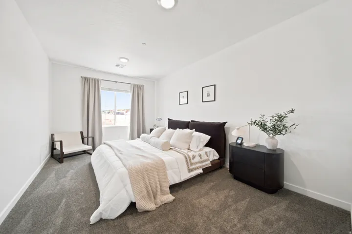 Plush carpet flooring, a large window with drapes, and a contemporary ceiling light fixture