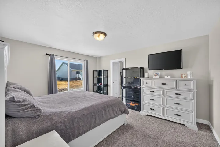 Neutral wall paint, carpeted flooring, and a flush mount ceiling light