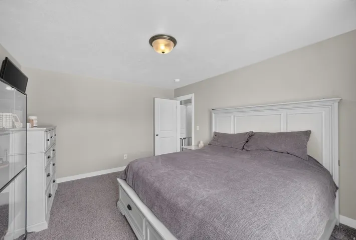 Neutral wall paint, ceiling-mounted light fixture, and carpet flooring