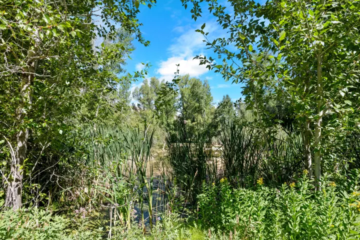 2315 N Big Bear Ln, Garden City, Utah 84028