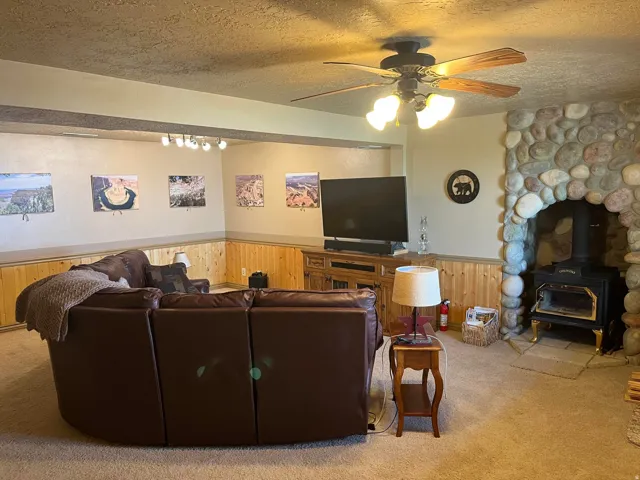 Stone-clad fireplace with a wood-burning stove