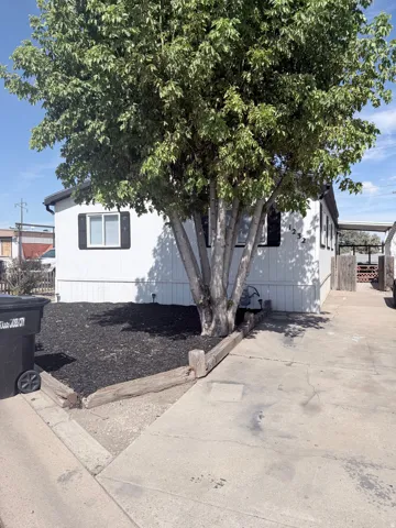 White siding exterior with a prominent mature tree, dark window shutters, and a concrete driveway