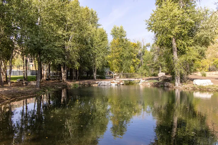 Expansive pond with tranquil water, surrounded by mature trees