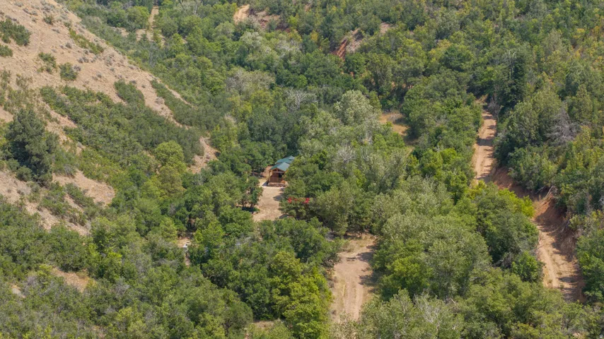 Secluded property nestled among abundant mature trees, featuring a cabin with a green roof, and natural terrain