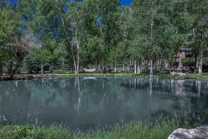 Natural pond with surrounding mature trees and a distant stone-clad structure