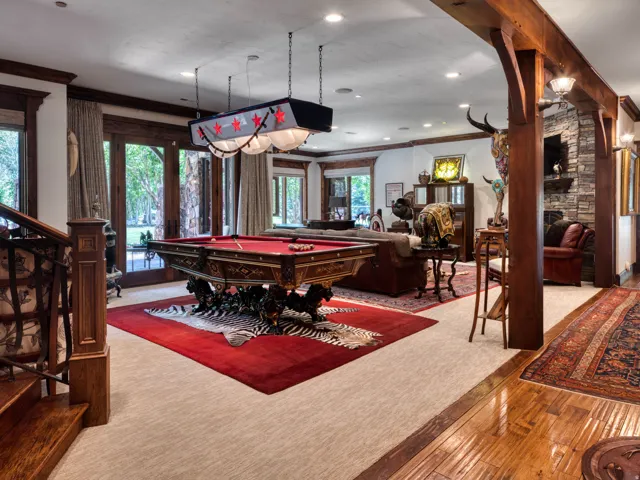 Entertainment room featuring wood-finish flooring and plush carpeting