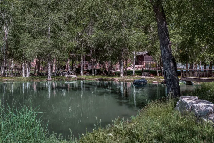 Private pond with a wooden bridge, surrounded by mature trees and natural landscaping