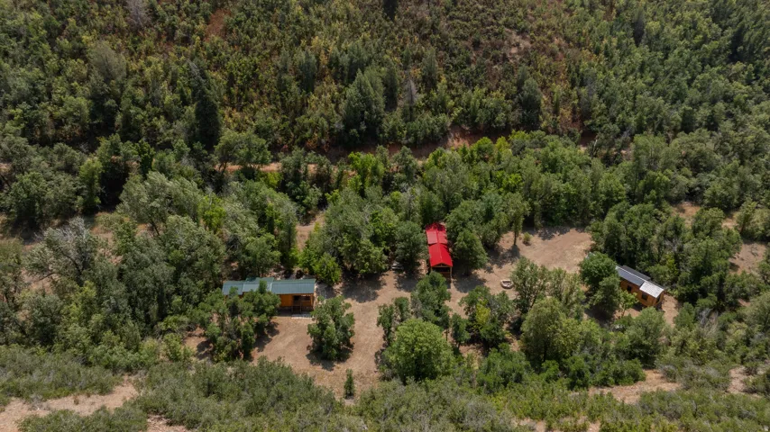 Wooded landscape with multiple structures