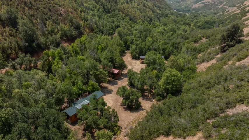 Wood-clad structures with green roofs, surrounded by dense trees, nestled within a valley landscape