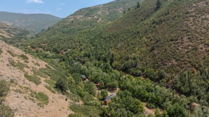 Lush, wooded valley with natural terrain
