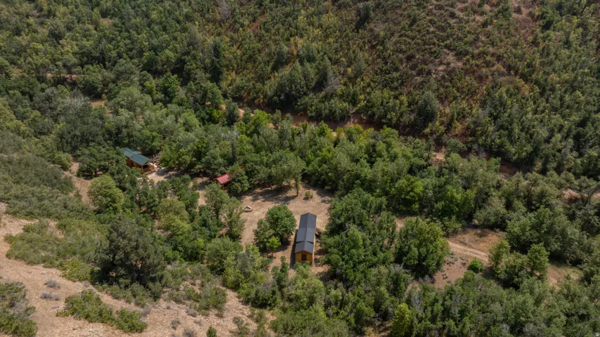 Two structures situated amidst dense tree cover, with a third structure partially visible