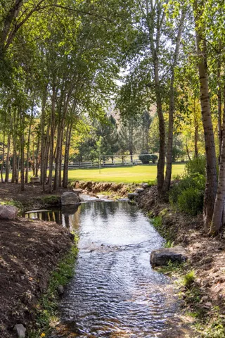 Natural stream with a wooded bank, bordering a grassy expanse and a white fence