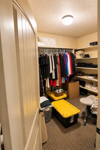 Walk-in closet featuring built-in shelving, clothing rods, and carpeting
