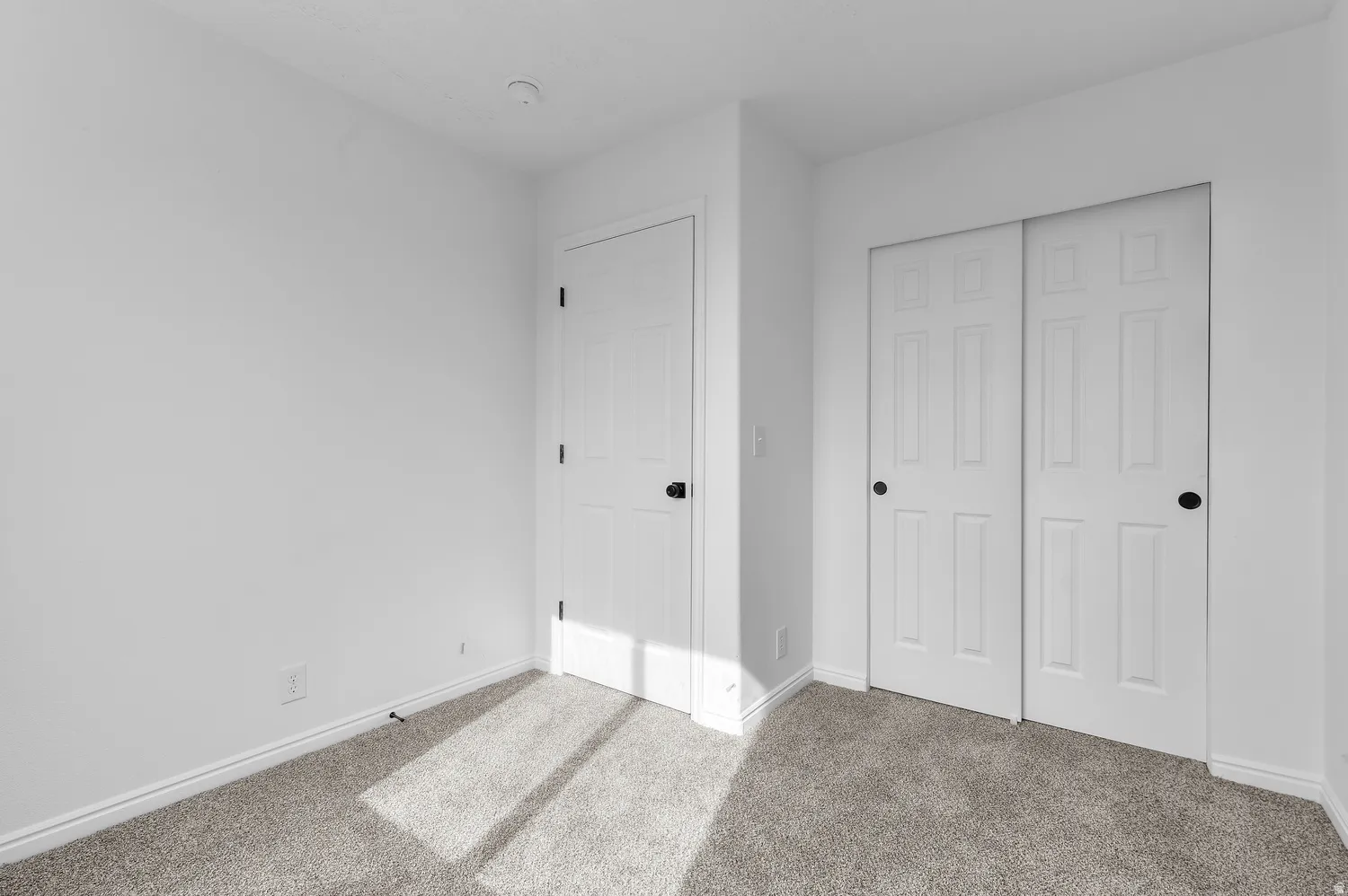 Light gray carpeting, white walls, white paneled doors, and a built-in closet with sliding doors