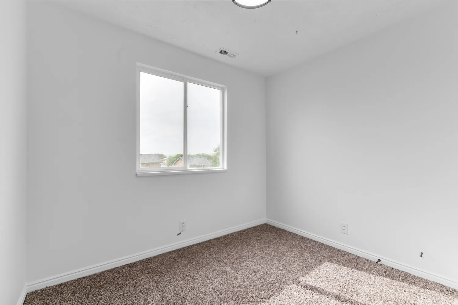 Neutral wall paint, plush carpet flooring, and a contemporary ceiling fixture