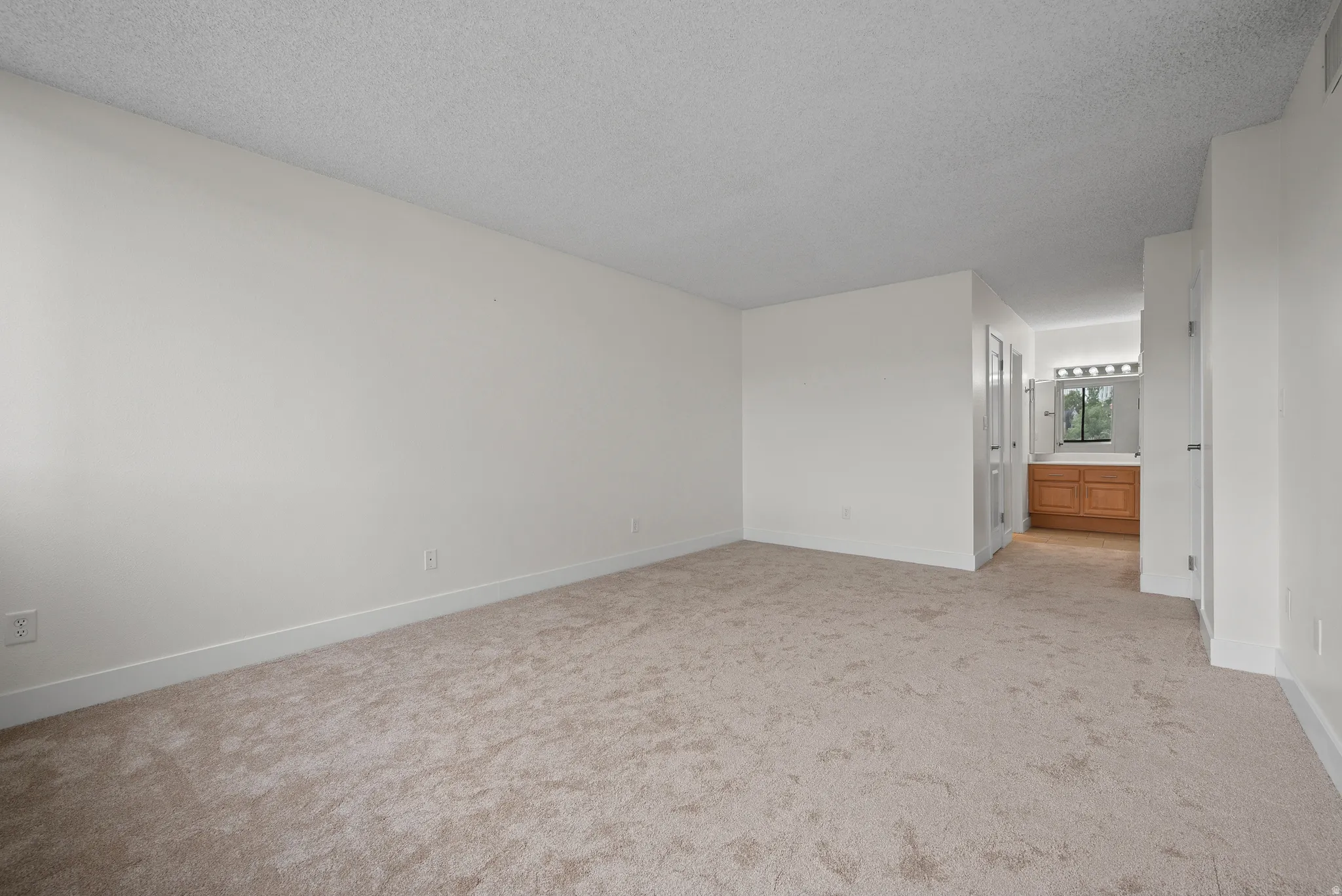 Neutral-toned carpeting, white walls, and a built-in vanity with a mirror and overhead lighting