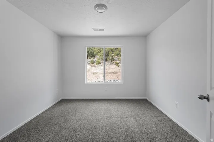 Wall-to-wall carpeting with light gray walls, a window overlooking a natural landscape, and a flush-mount ceiling light fixture