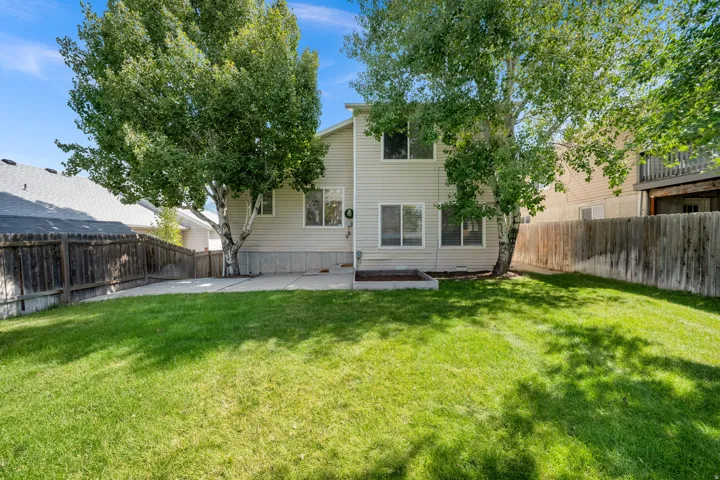 Expansive backyard with a manicured lawn, established trees, and a concrete patio
