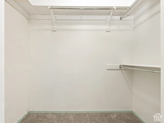 Spacious closet with white walls, carpet flooring, and multiple garment rods