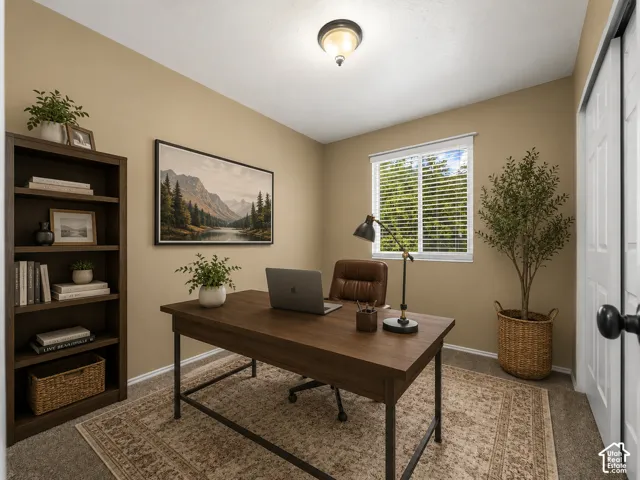 Carpeted room with a single window, white window blinds, and a built-in closet with white bifold doors