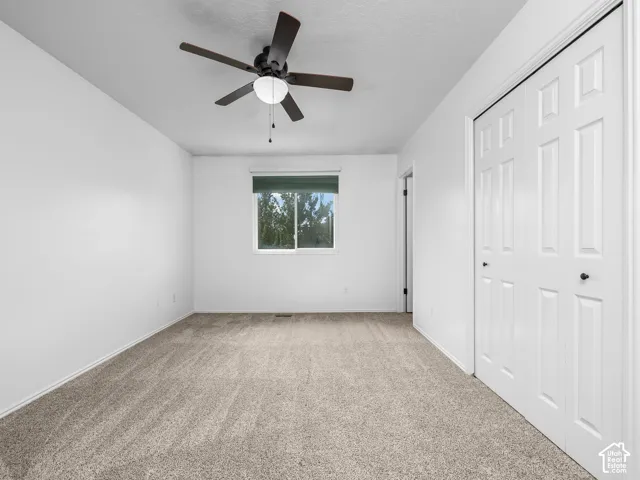 Spacious bedroom with neutral wall finishes, carpeted flooring, and abundant natural light from a street-facing window