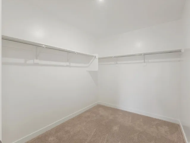 Neutral tone carpeting with white walls and ceiling