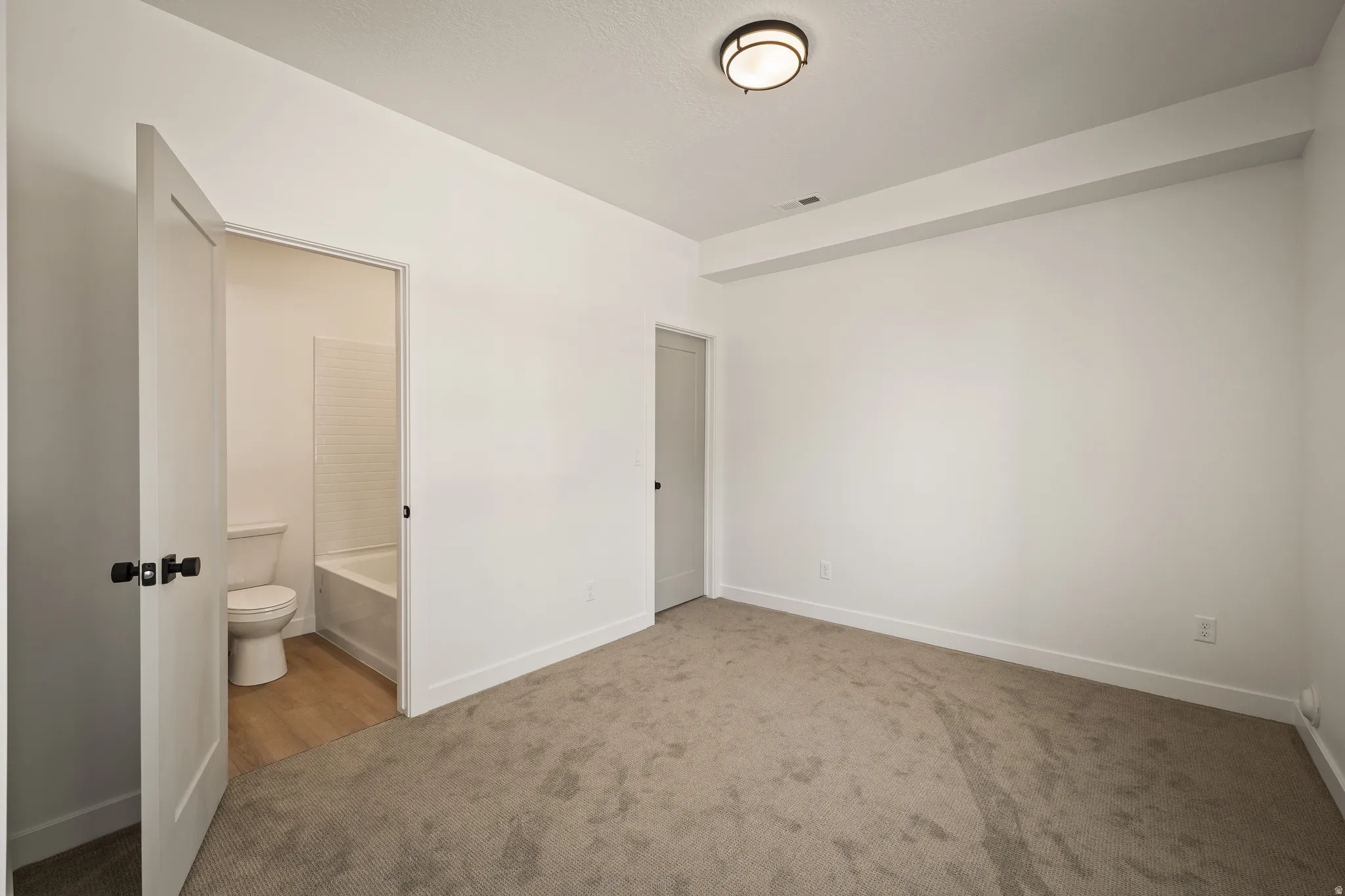 Neutral wall paint, carpeted flooring, flat-panel interior doors with dark hardware, and an attached flush-mount ceiling light fixture