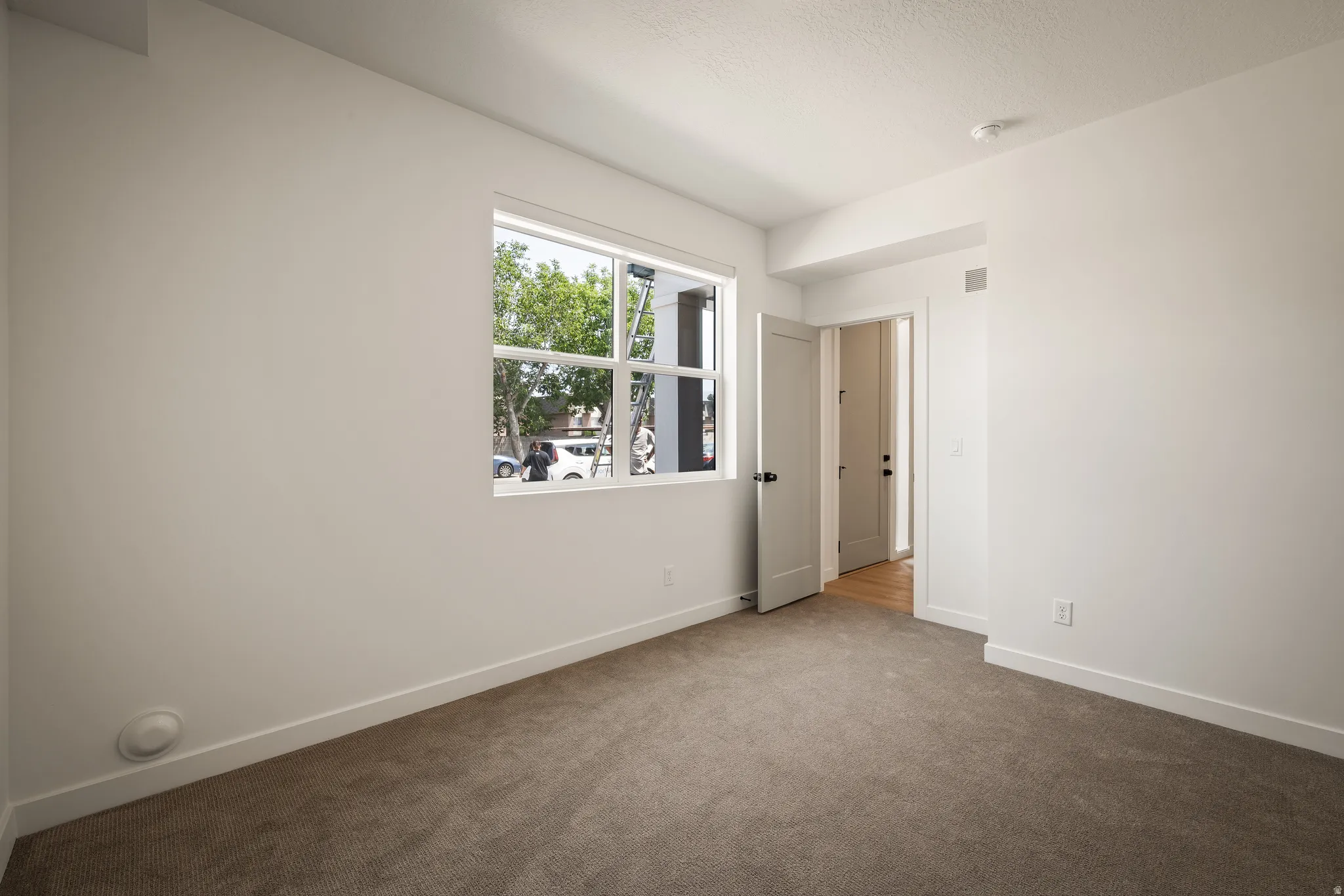 Neutral-toned carpet flooring, white walls, and a multi-pane window