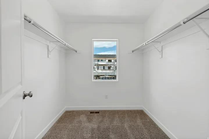 Walk-in closet with carpet flooring, white walls, and a window