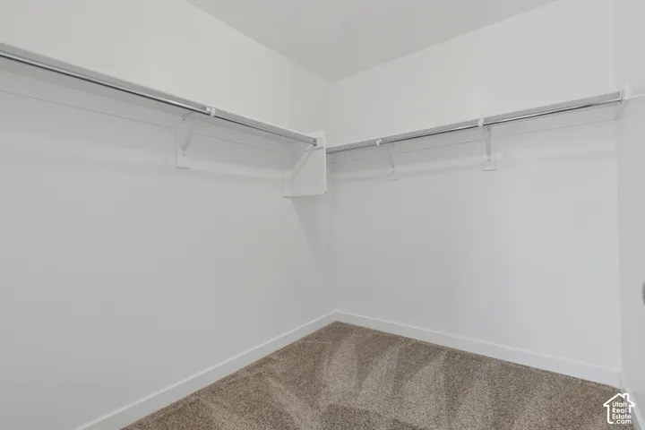 White painted walls, metal hanging rods, and carpet flooring