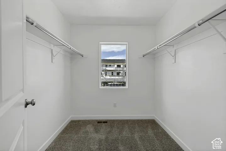 Walk-in closet with carpet flooring, white walls, and a window