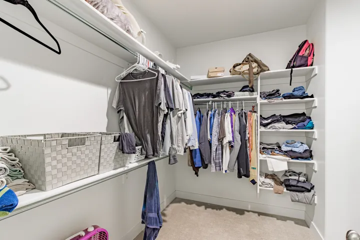 Expansive walk-in closet featuring multiple shelving units, built-in hanging rods, and light-colored carpeting