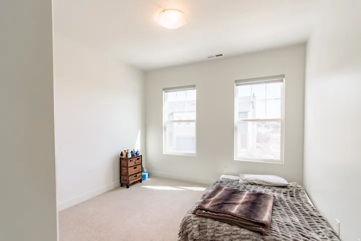 Light-filled room featuring two windows, neutral wall tones, and carpeted flooring