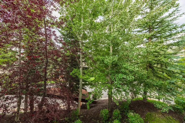 1825 Three Kings Dr #802, Park City, Utah 84060