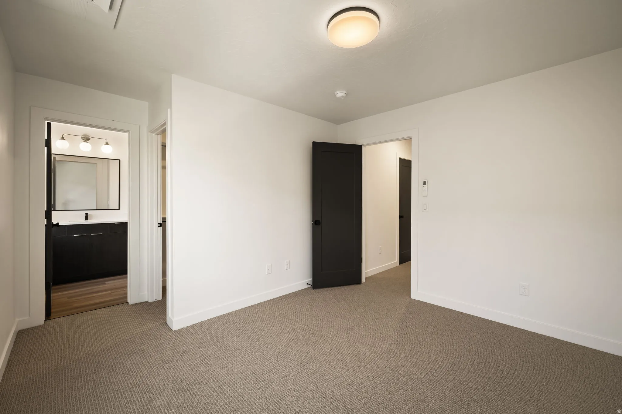 Neutral-toned carpet flooring, white walls, dark interior doors, and a ceiling-mounted light fixture