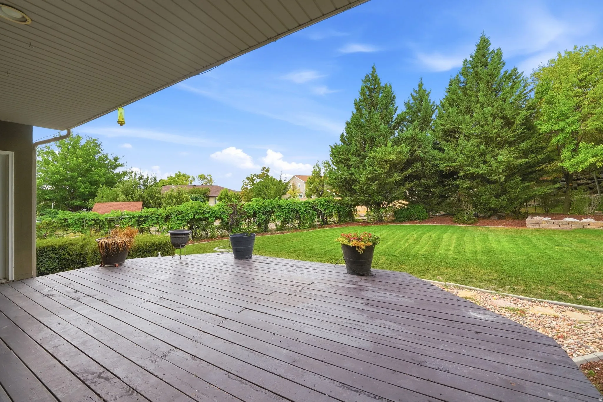 Expansive outdoor deck with a curved edge, leading to a manicured lawn