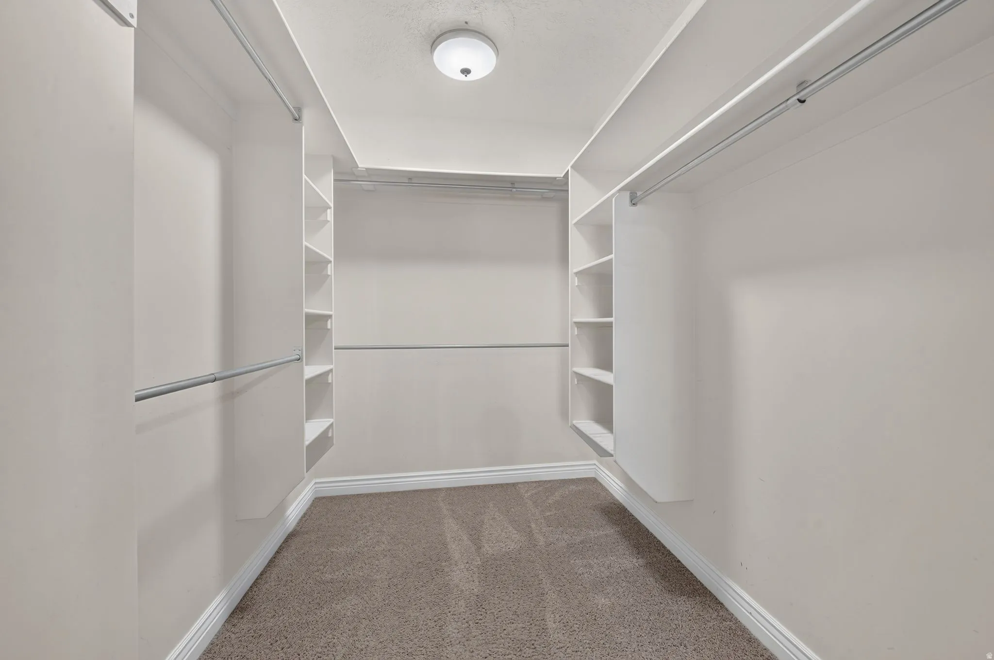 Walk-in closet featuring carpet flooring, built-in shelving, chrome hanging rods, and a ceiling-mounted light fixture