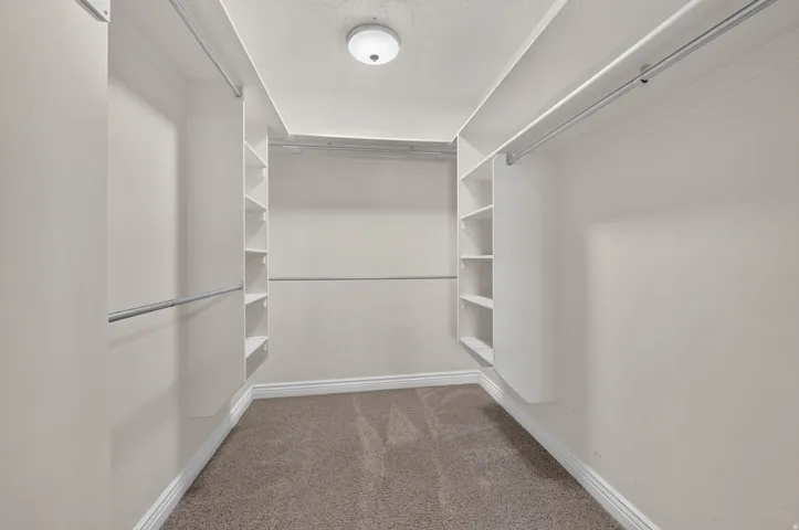 Walk-in closet featuring carpet flooring, built-in shelving, chrome hanging rods, and a ceiling-mounted light fixture