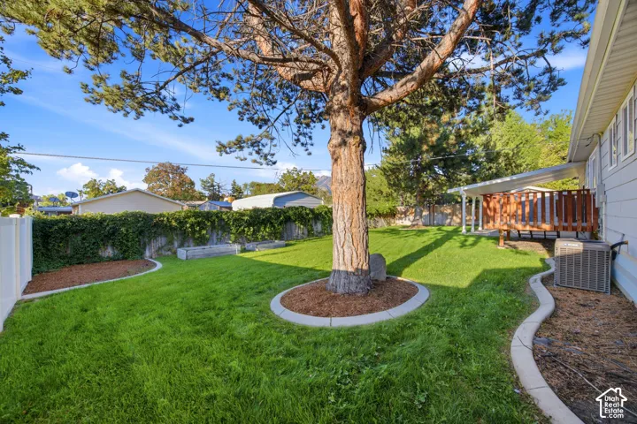 Expansive backyard with a manicured lawn, established shade tree, concrete curbing, and wood deck with an overhead cover