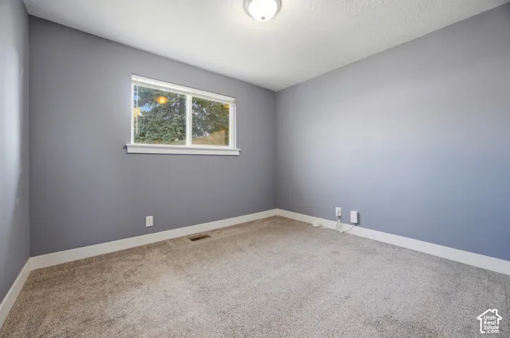 Neutral-toned carpeting, light gray wall paint, and white trim accents