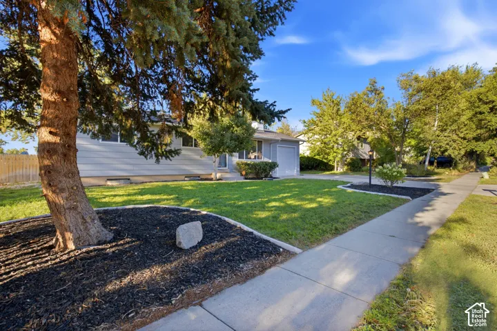Expansive front lawn with mature trees and a concrete sidewalk
