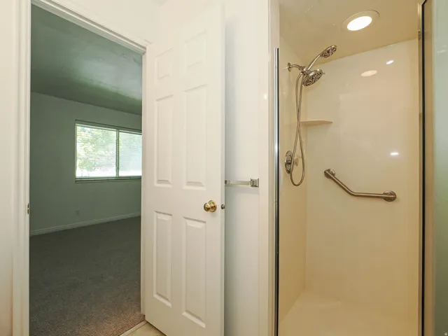 Walk-in shower with a built-in shelf, grab bar, and recessed lighting