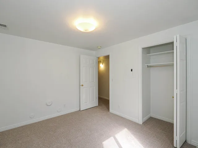Carpeted room featuring a ceiling-mounted light fixture, white paneled doors, and a built-in closet with shelving and a hanging rod