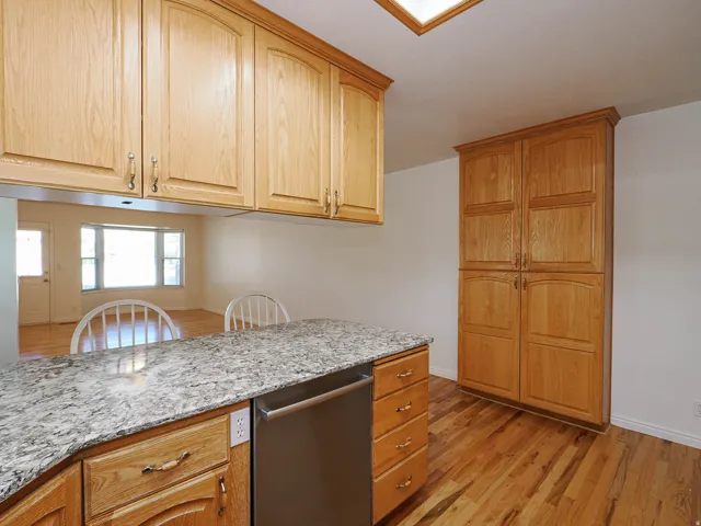 Wood-finish flooring, light-toned cabinetry, stainless steel dishwasher, granite-style countertop, and a skylight