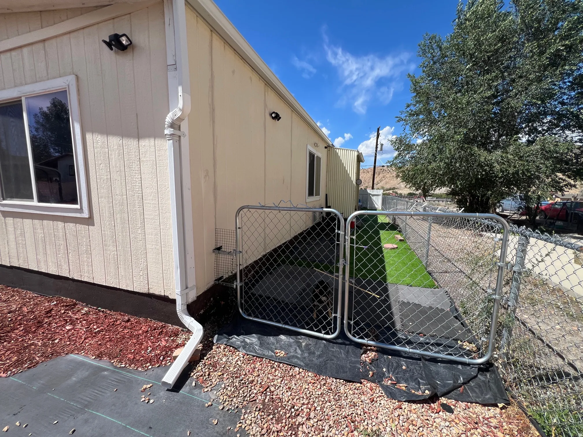 Fenced dog run