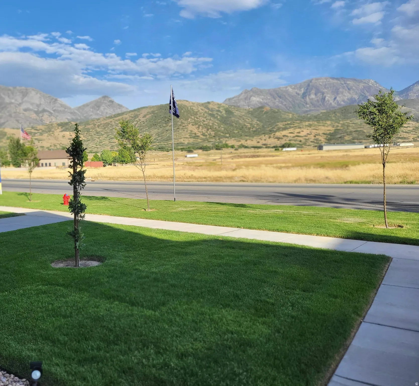 Manicured lawn with a concrete walkway, young trees, and a mountain backdrop