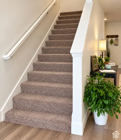 Carpeted staircase with white handrail and wood-finish flooring